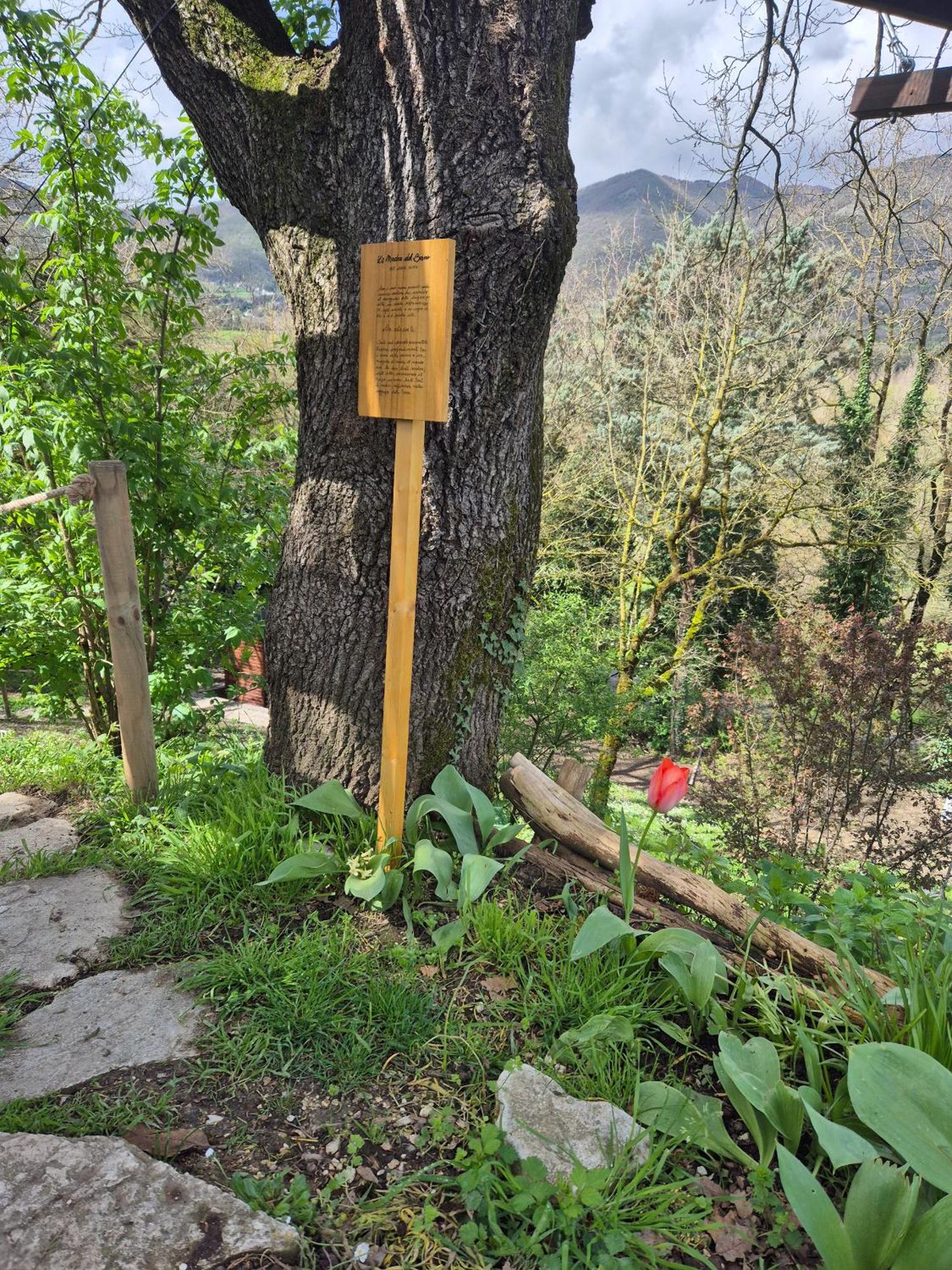 B&B Colle Di Terria Country House Contigliano ภายนอก รูปภาพ