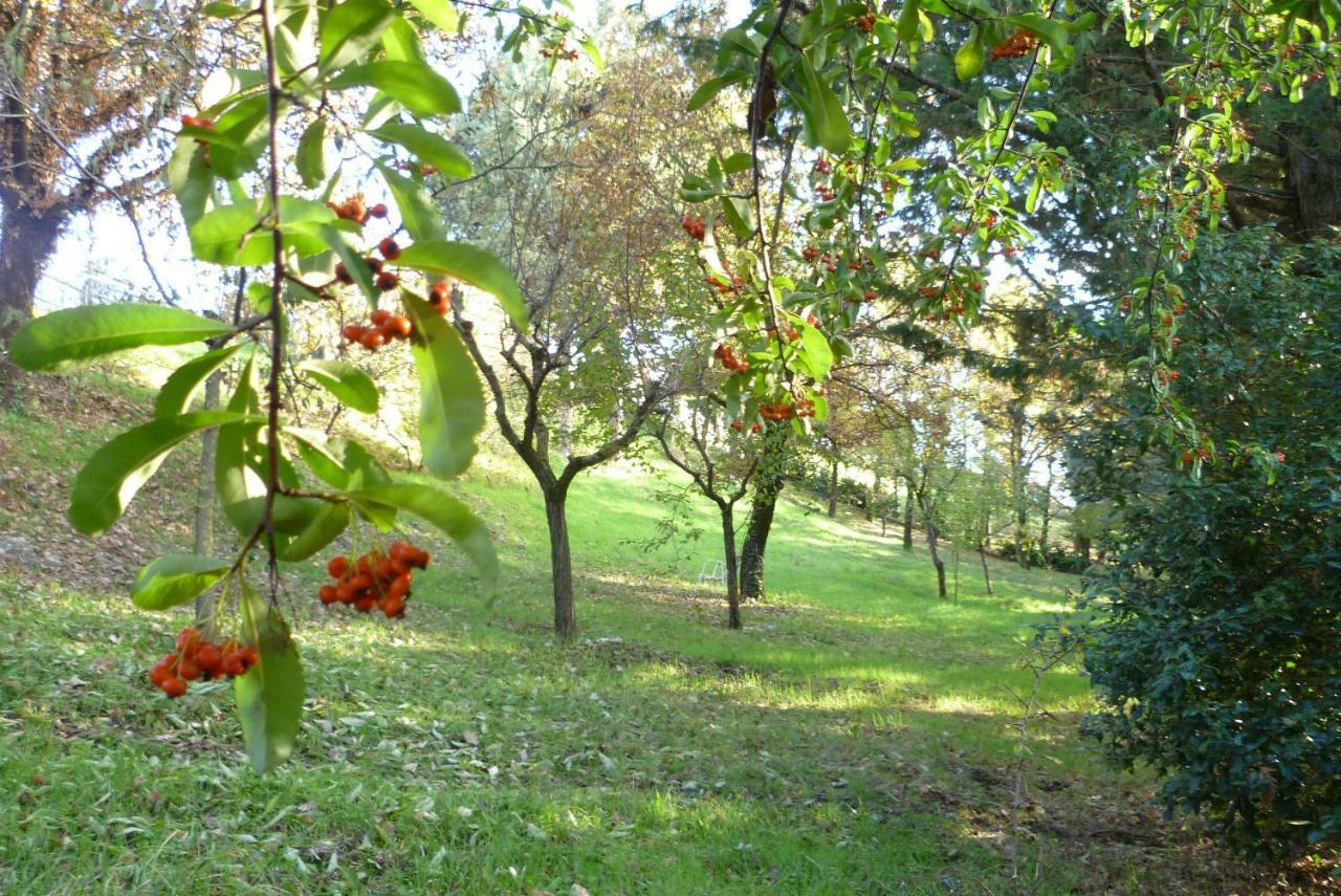 B&B Colle Di Terria Country House Contigliano ภายนอก รูปภาพ