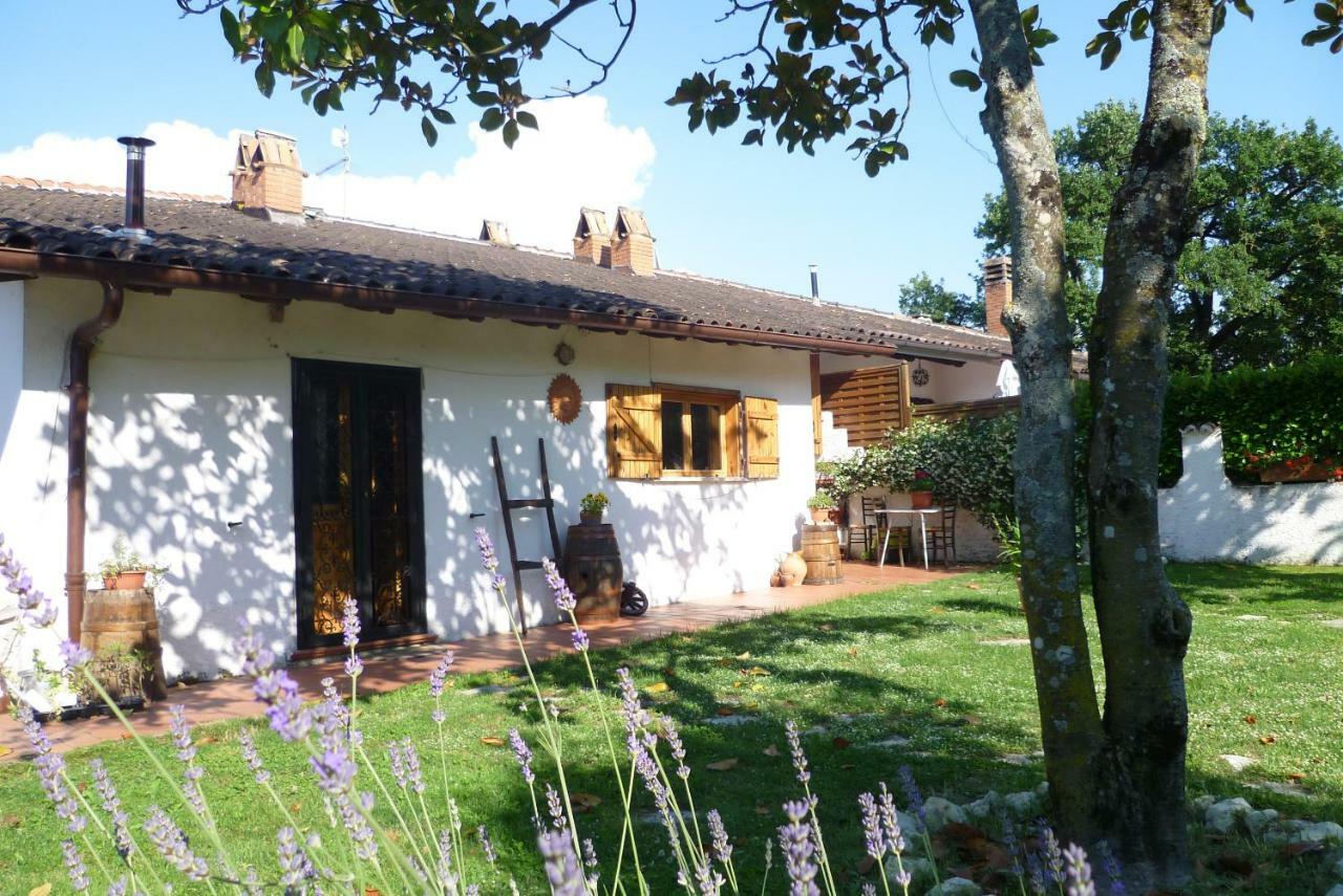 B&B Colle Di Terria Country House Contigliano ภายนอก รูปภาพ